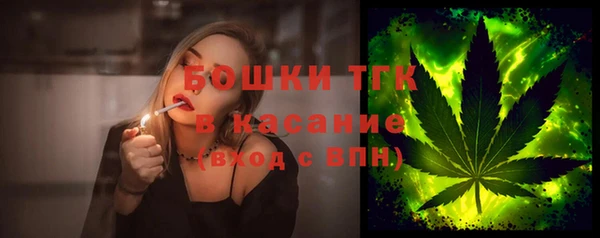 прущие грибы Армянск