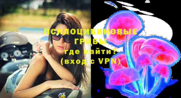 прущая мука Арсеньев