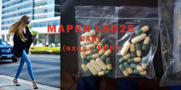 прущие грибы Армянск