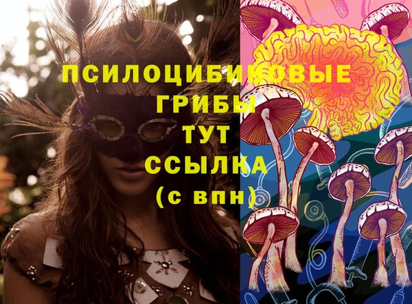 прущие грибы Армянск