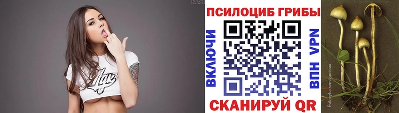 Галлюциногенные грибы MAGIC MUSHROOMS  Саров 